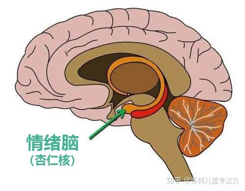 智力app游戏_智力手机游戏单机游戏_7岁智力手机游戏下载