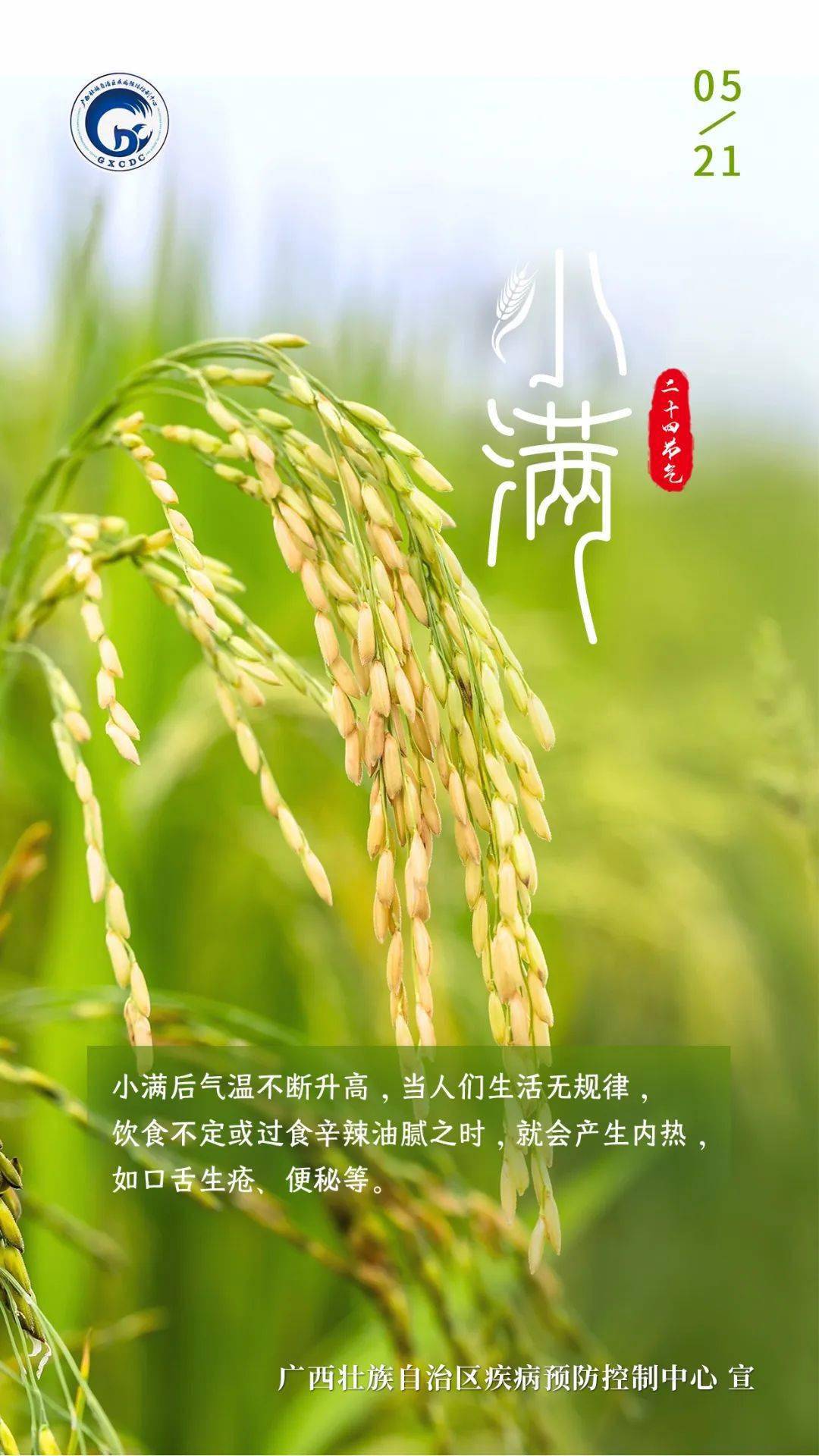 候小满汉堡_小满三候_什么时候小满