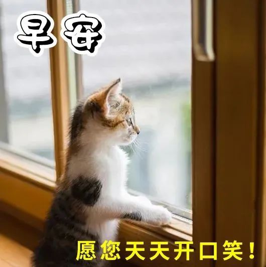 朋友圈私人定制_朋友圈之特别定制_定制朋友圈背景图