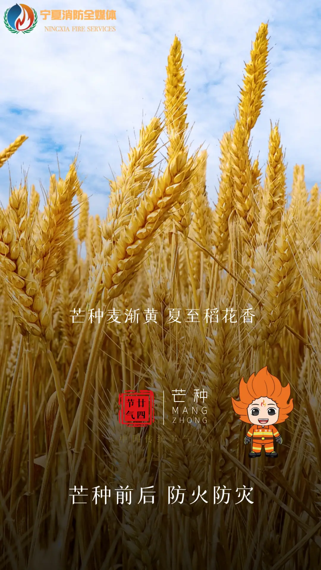 芒种是什么月份_芒种是几月几号呀_芒种是几月几号