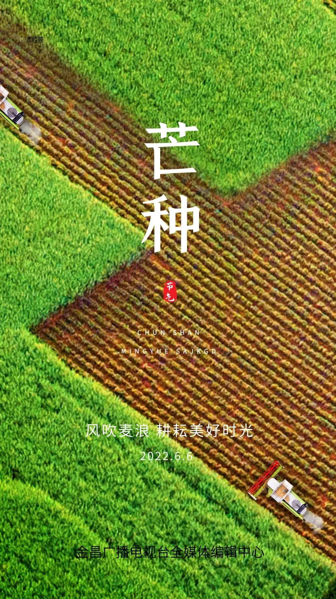 芒种是几月几号_芒种是几月几号呀_芒种是什么月份