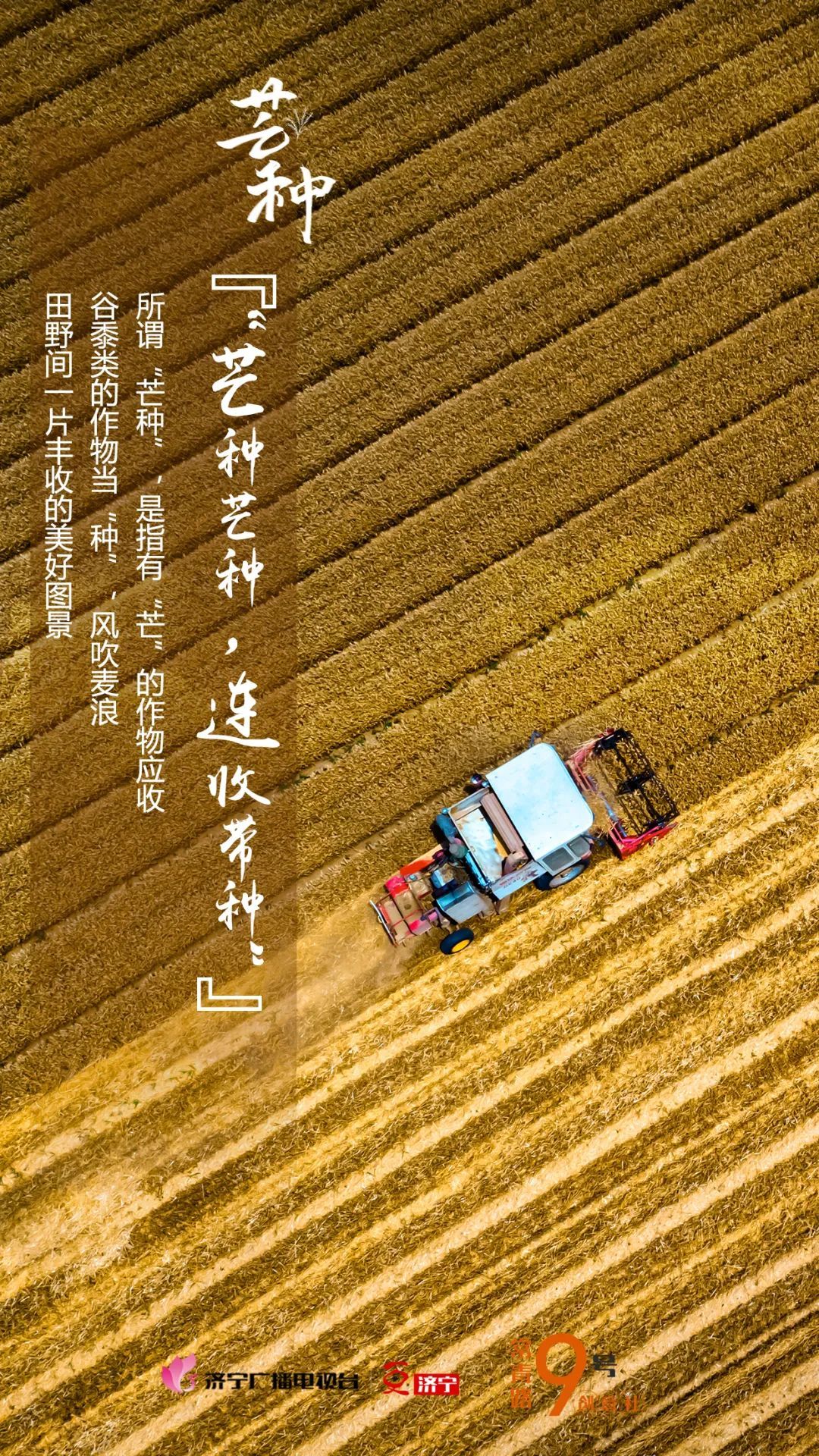 芒种是几月几号呀_芒种是什么月份_芒种是几月几号