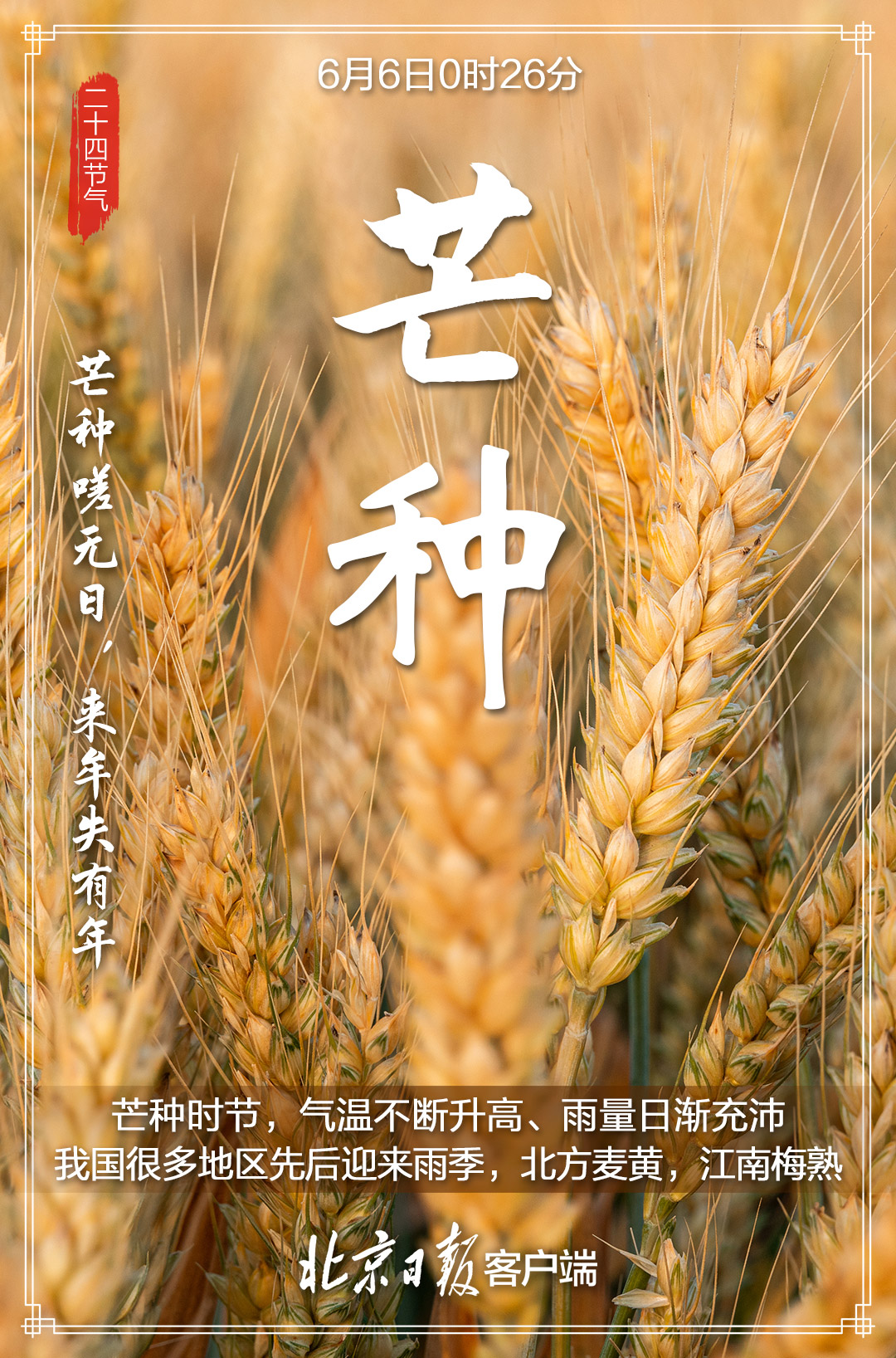 芒种是几月几号呀_芒种是什么月份_芒种是几月几号