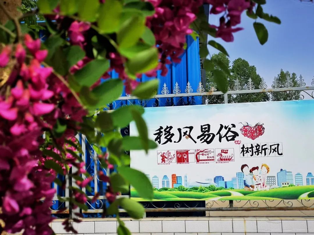 彭城码_彭城码_彭城码
