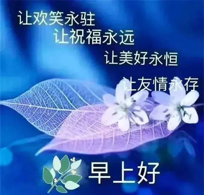 茂木夏树是什么意思_茂木夏树今天白色_茂木夏树