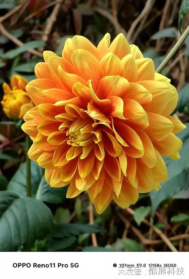 手机游戏定位软件_oppo手机游戏定位_oppo软件定位