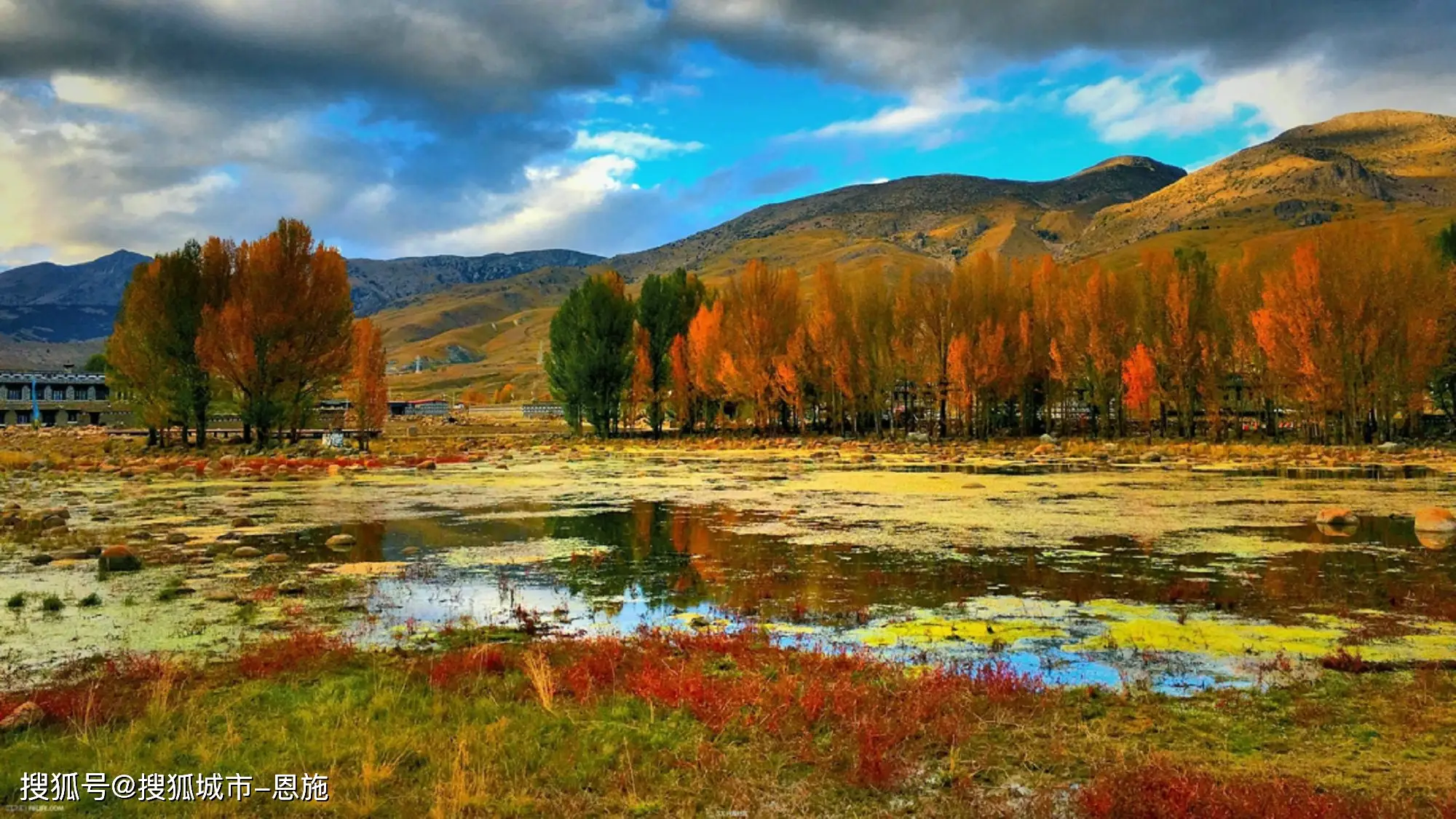 大吉岭是哪个国家的_大吉岭茶怎么辨别正品_大吉岭