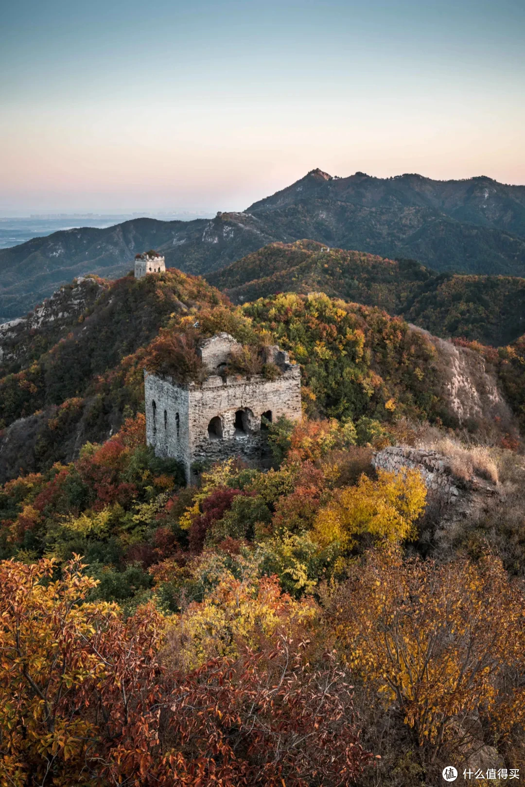 大吉岭_大吉岭茶怎么辨别正品_大吉岭是哪个国家的