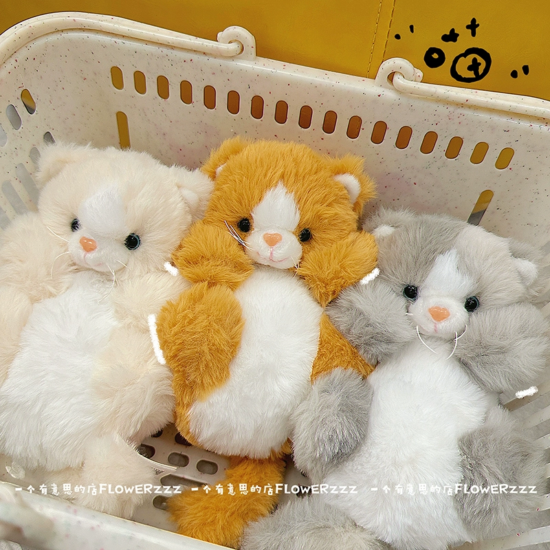 猫老师_猫老师_猫老师