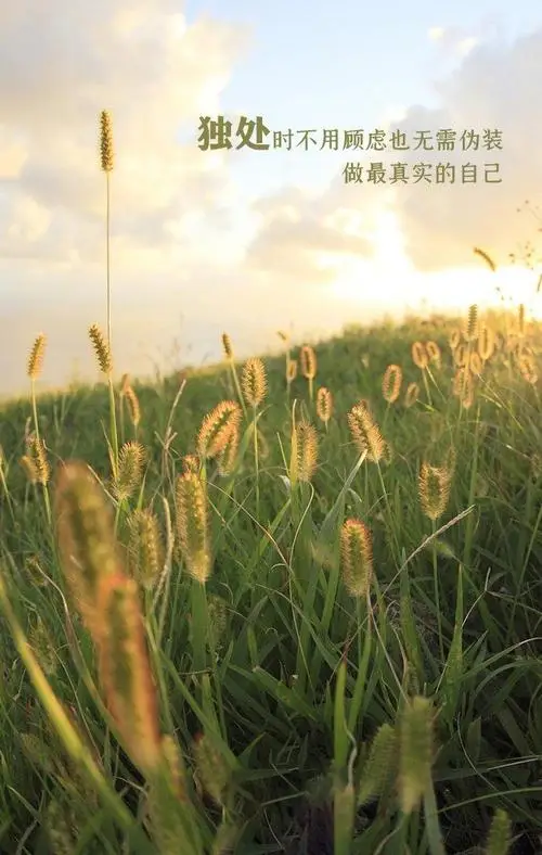 北京时间按_北京时间按_按北京时间算命正确么