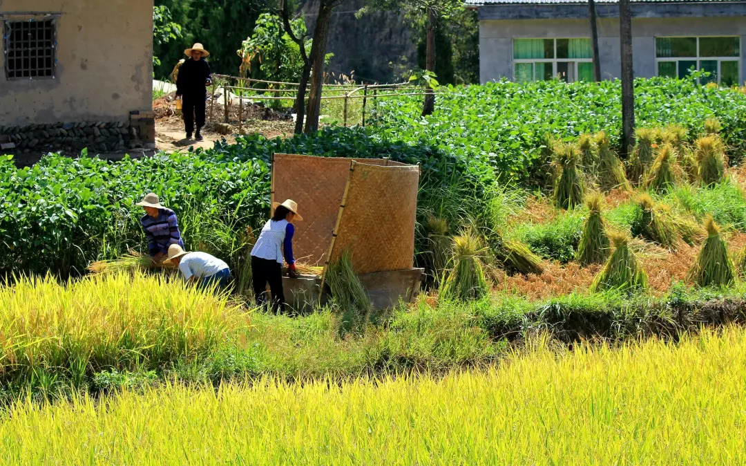 大和田南那吧_川本纱矢大和田南那_大和田