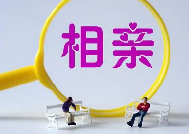 花束般的恋爱在线_怎么恢复手机微信的聊天记录_天台天成职业技术学校图片
