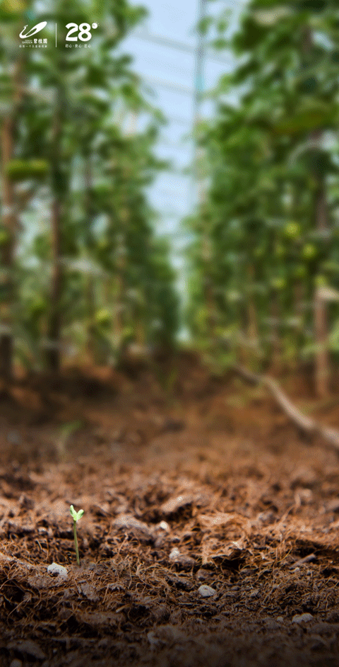 背德病栋_背德病栋_背德病栋