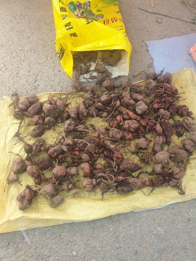 多多快递拼单看号吗_拼多多快递单号在哪里看_多多快递拼单看号码怎么看