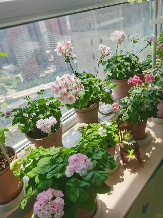 手机游戏找茬_ios手机游戏找茬游戏_苹果手机找茬游戏