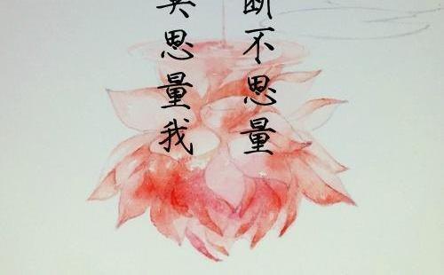 希帕提亚：古埃及学者的智慧与勇气，激励着我们追求梦想
