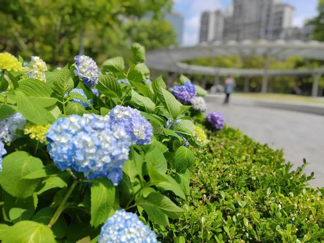 牌道娱乐_9张牌分三道牌手机游戏_蜘蛛牌游戏免费下载至手机