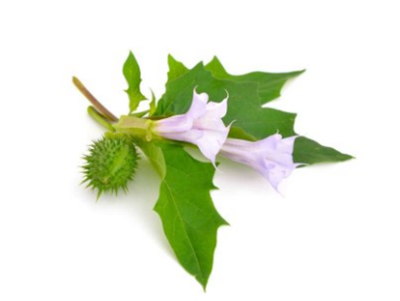 宫斗游戏单机游戏手机版_宫斗手机游戏_宫斗手机游戏哪个好玩