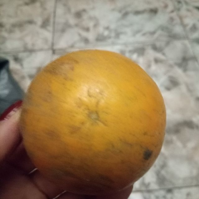 帮明星修手机游戏叫什么_明星帮忙_明星修车图片大全