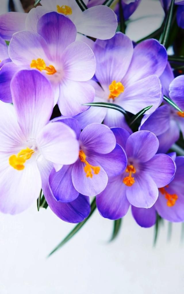 变态美乳手机游戏_变态美乳手机游戏_变态美乳手机游戏