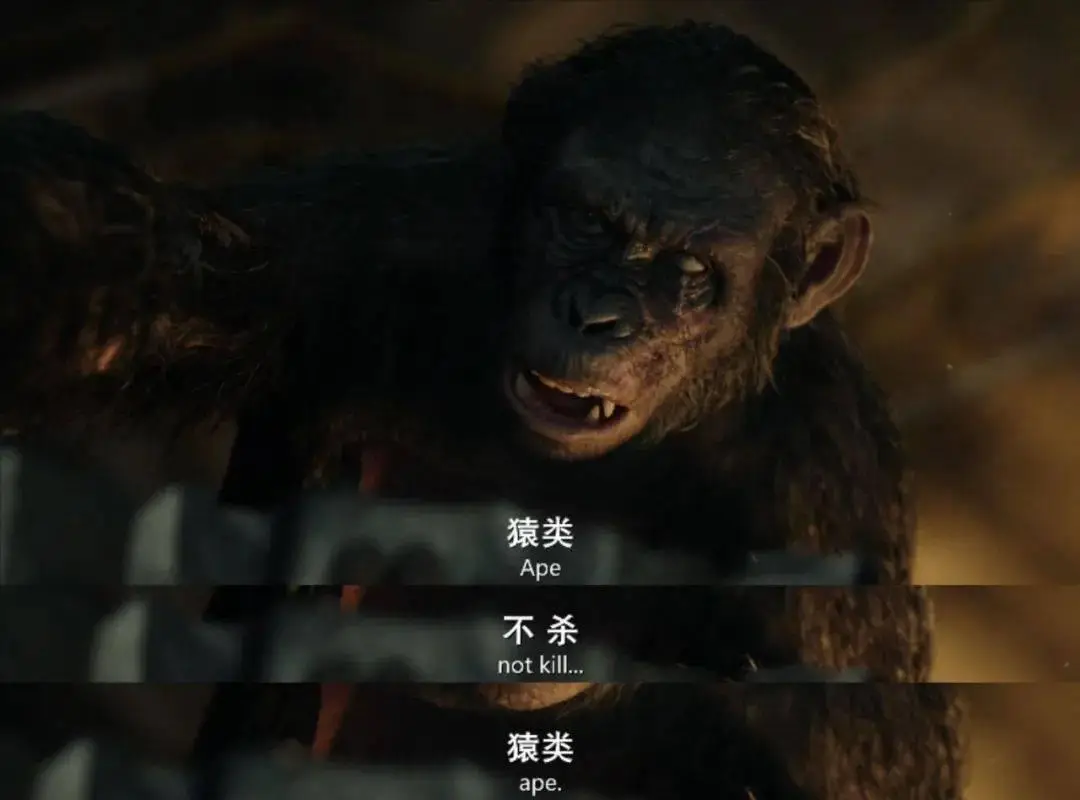 罗马_罗马表_罗马柱