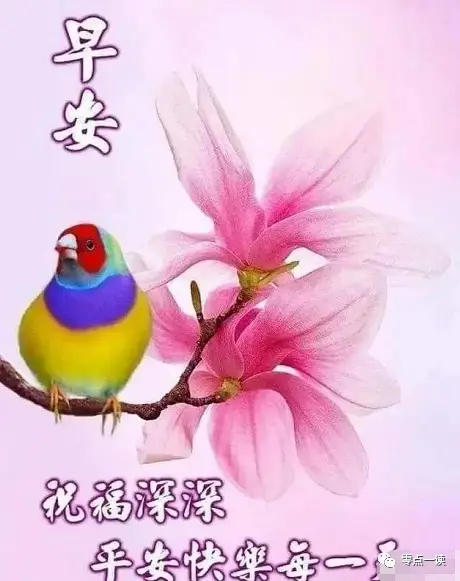 解压手机游戏弹球怎么玩_解压游戏弹珠_弹球解压手机游戏