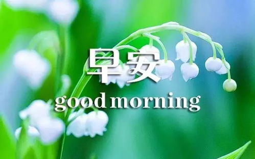 日服的明日之后_手机明日之后攻略_跟明日之后一样的手机游戏