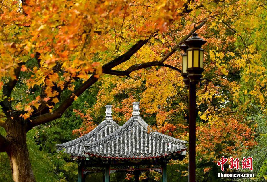 摄影小游戏_风游戏手机摄影_摄影类游戏