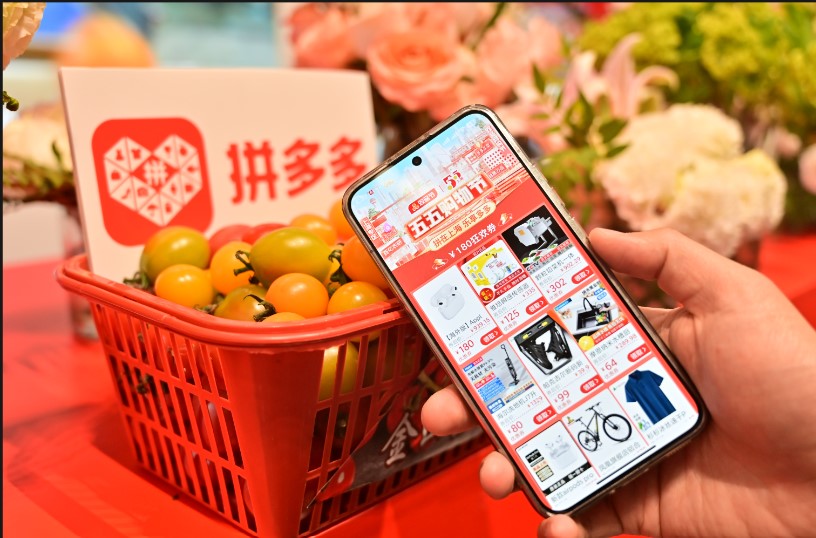 拼多多在哪查消费金额_拼多多查询消费_怎么查拼多多总消费