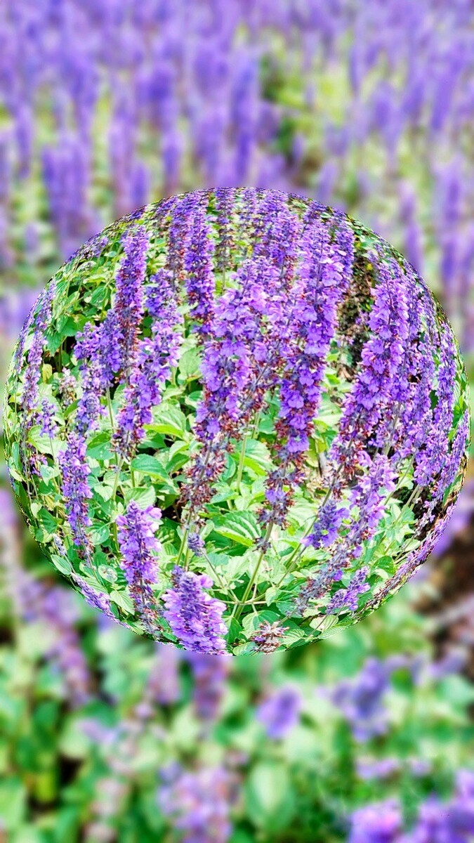 拆字游戏手机铃声_铃声的游戏_铃声手机游戏拆字软件