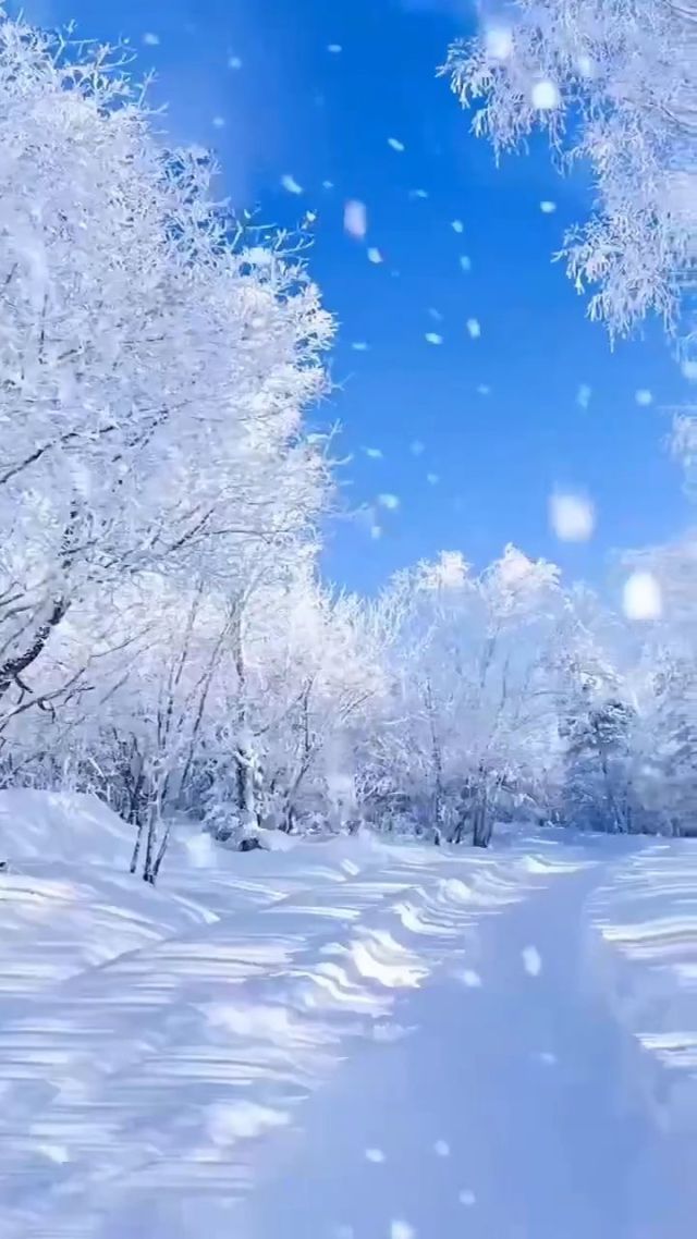 斋贺光希_斋贺光希_斋贺光希