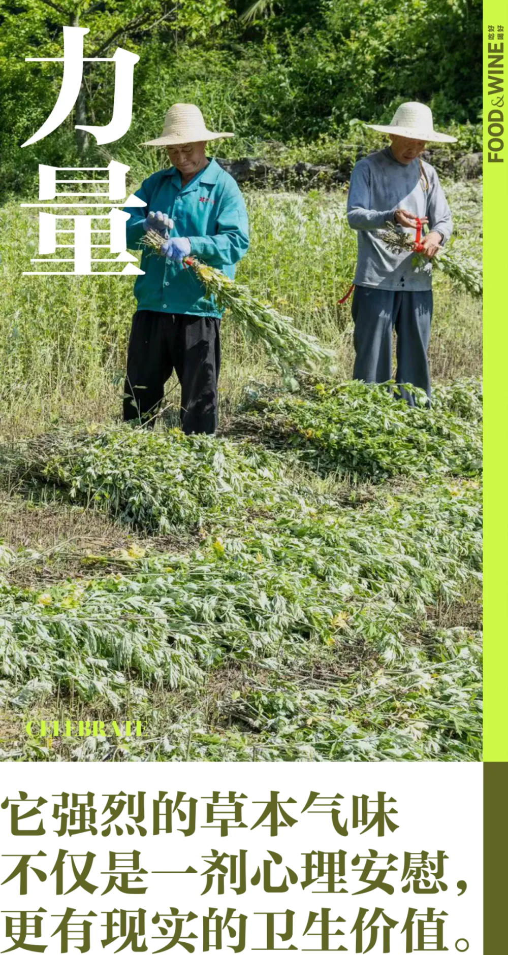 弹琴免费手机游戏有哪些_弹琴手机游戏免费_弹琴免费手机游戏软件