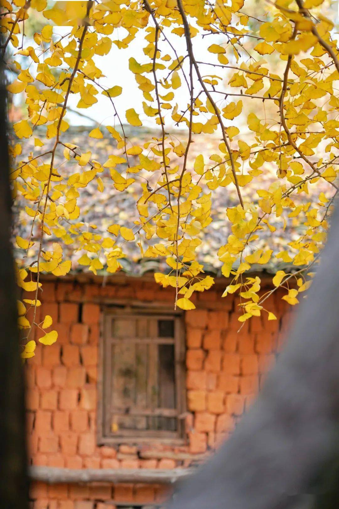 五一放假2021_五一放假年放几天_五一放假2022年