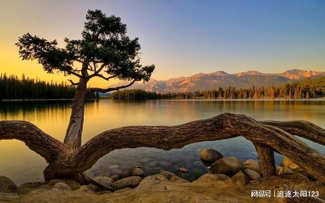单机找茬版手机游戏推荐_单机版的找茬手机游戏_单机找茬游戏手机版
