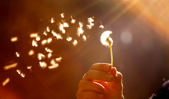 个人热点用的是流量还是wifi_个人热点的流量走套餐吗_个人热点用的是流量