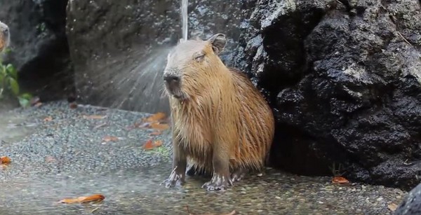 个人热点的流量走套餐吗_个人热点用的是流量_个人热点用的是流量还是wifi