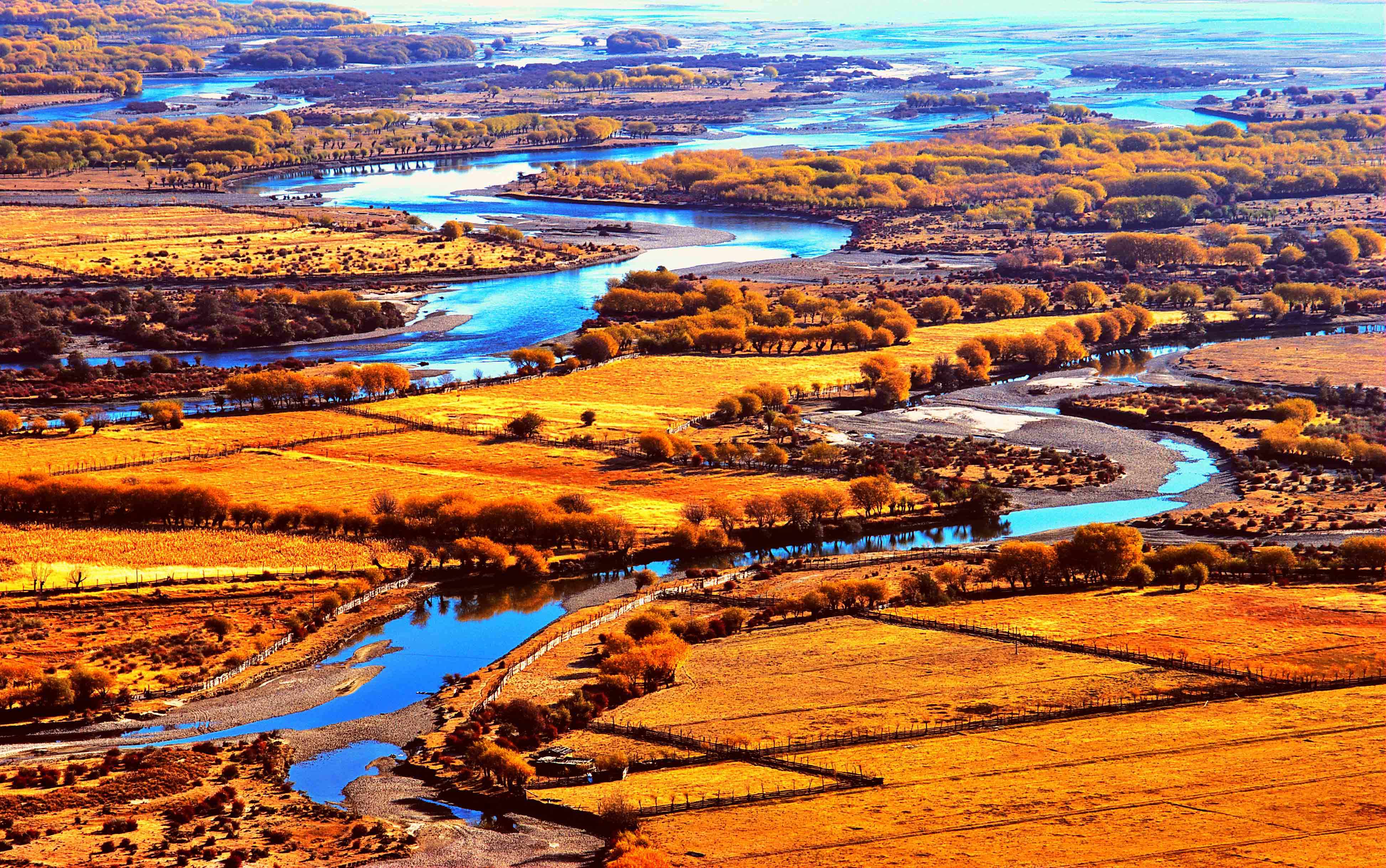 滋贺县_滋贺县_滋贺县