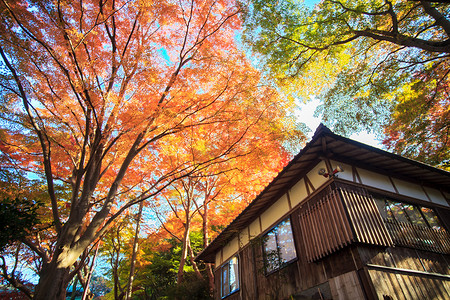 滋贺县_滋贺县_滋贺县