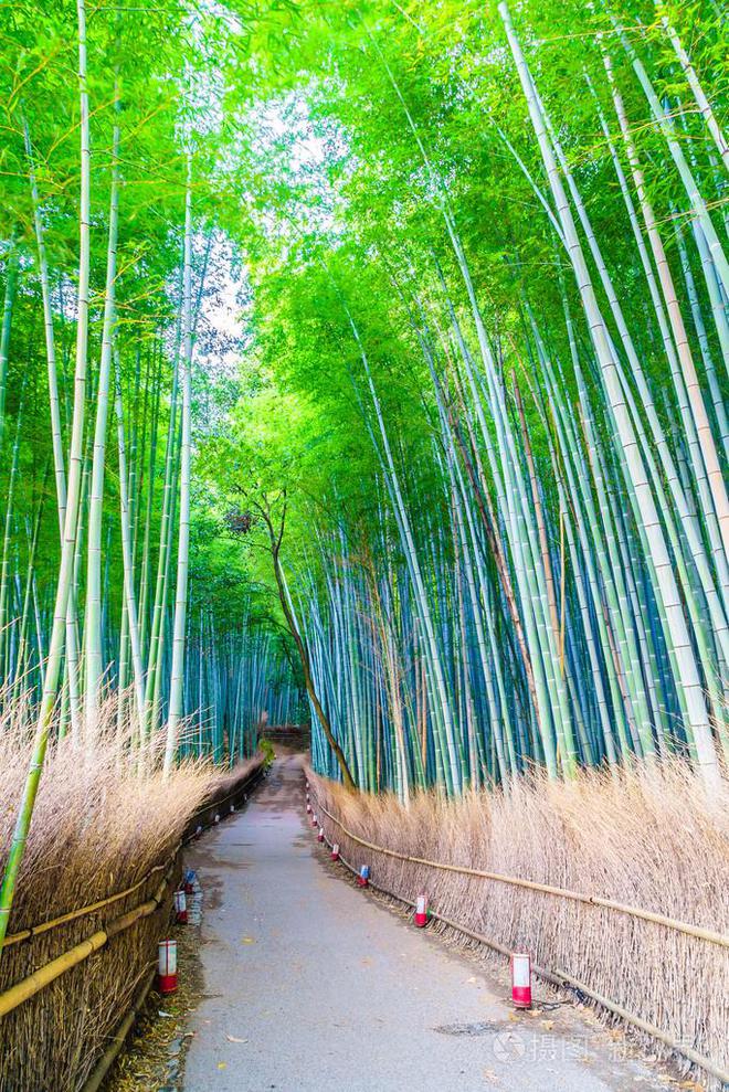 安里甘教堂_安里申_安里朝都