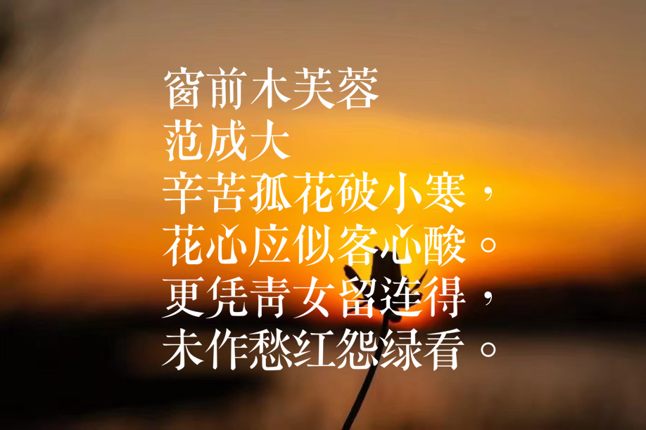 小寒的意思是什么_小寒的含义和谚语_小寒是什么意思