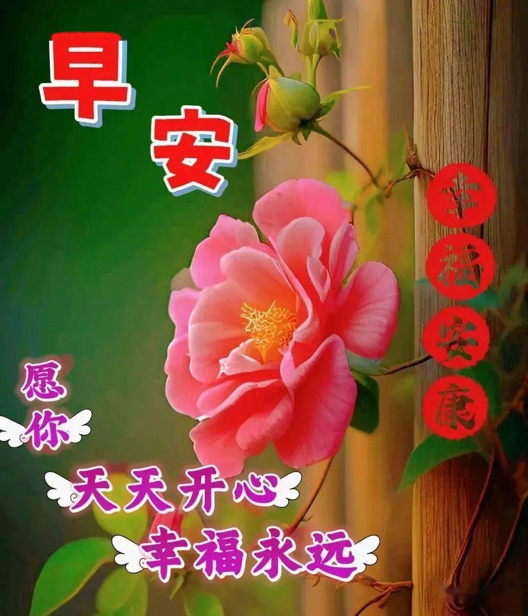 季花鱼_季光虹_季羡林
