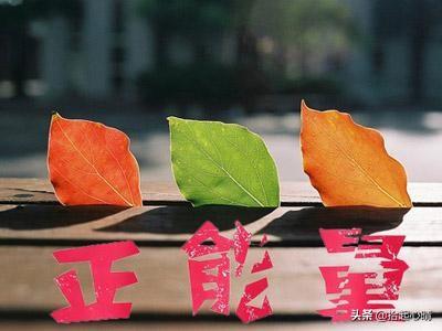 雷尼替丁注射说明书_雷尼绍编码器_雷尼