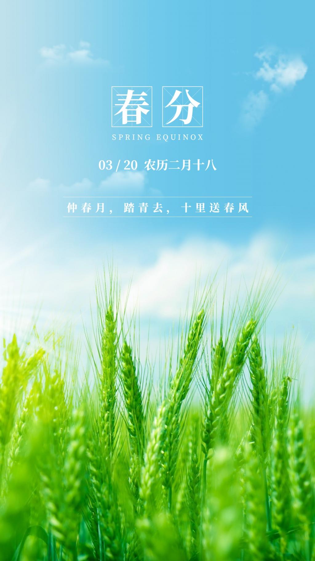 节气简介春分特点是什么_节气简介春分特点和风俗_春分节气的特点简介