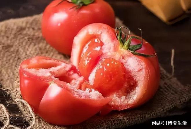 烧饼游戏大师下载ipad_节奏大师下载游戏_冰箱分类大师手机游戏下载