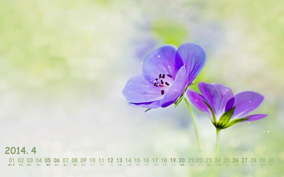 日历2014年_2014日历_日历2014日历表