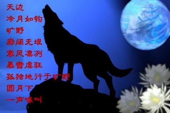 壁纸图片狼励志_孤狼游戏图片壁纸手机_壁纸狼霸气帅气