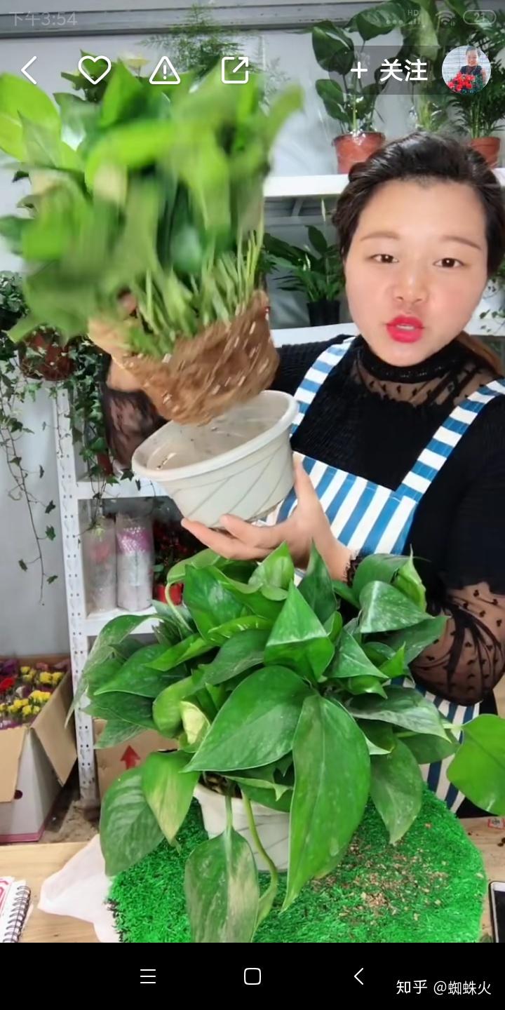 投诉快手客服最狠的方法_投诉快手平台要投诉什么部门_快手怎么投诉