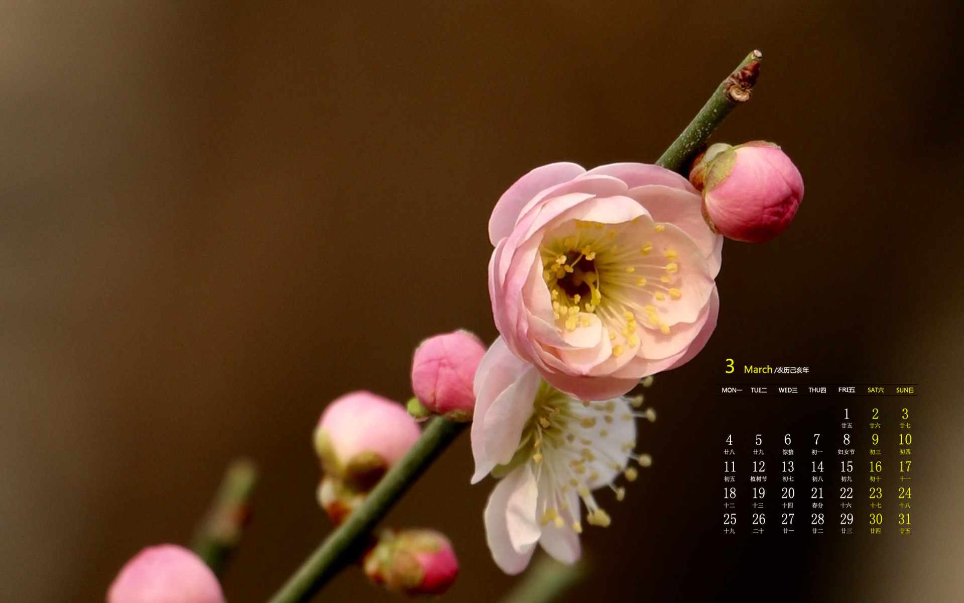 2011年日历_2024年日历年_日历年月日