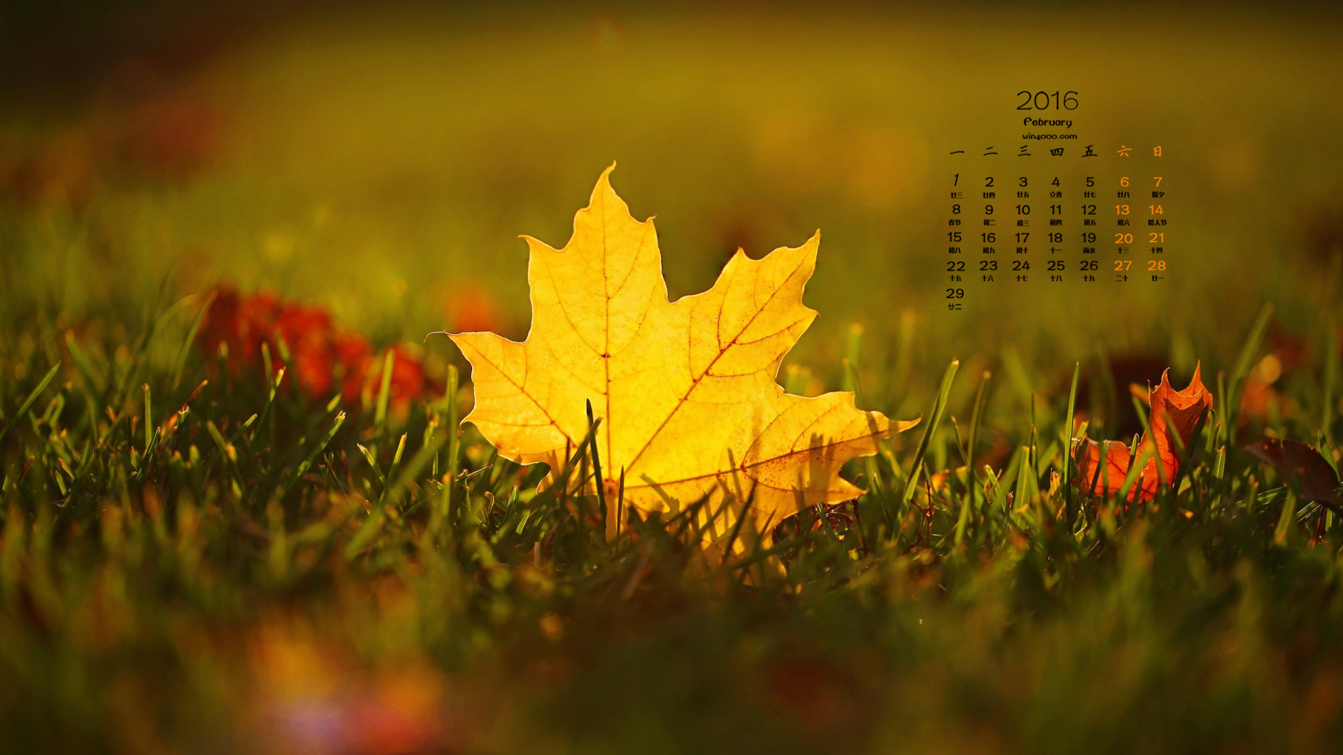 日历年月日_2011年日历_2024年日历年