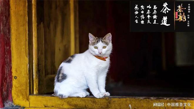 宫本由美_宫本由美_宫本由美